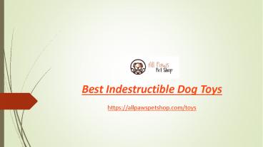 Best Chew Toys For Dogs