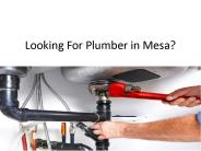 Looking For Plumber in Mesa?