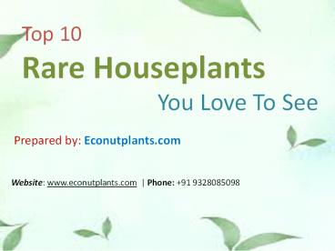 Top 10 Rare Houseplants You Love To See