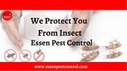 Choose The Best Ottawa Exterminator Essen Pest Control