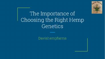 The Importance of Choosing the Right Hemp Genetics
