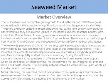 Seaweed Market Report