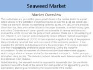 Seaweed Market Report