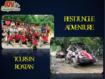 Best Jungle Adventure Tours In Roatan