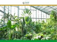 Carbon offset (1)