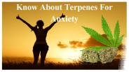 Know About Terpenes For Anxiety