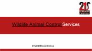 Wildlife Animal Control Services