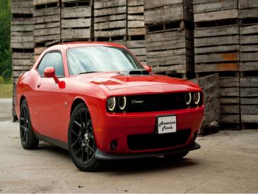 Michael Savage New Canaan