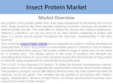 Insect Protein Market Report