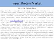 Insect Protein Market Report