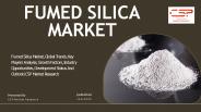 Flumed Silica Market