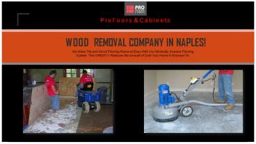 Expert For Wood Removal Services In Naples