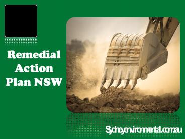 Remedial Action Plan NSW (1)