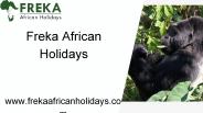 Bwindi Gorilla Trekking