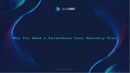 Why You Need a Salesforce Data Recovery Plan