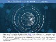 What You Need To Do To Be SHIELD Compliant