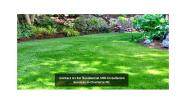 TheWizardOfSod (1)