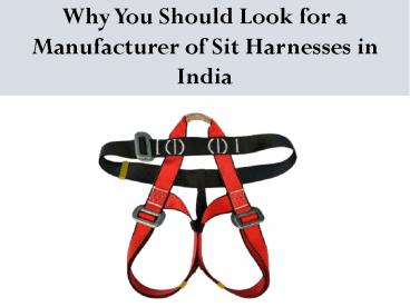 Sit Harness Manufacturer & Exporter  in India