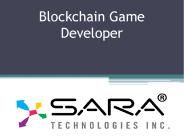 Blockchain Game Developer