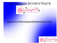 Carriers for Small Dogs (2)