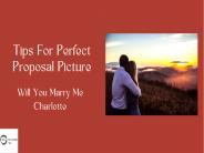 Tips For Perfect Proposal Picture
