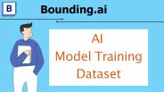 AI Models Training Datasets- bounding.ai