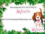 Dog Carrier for Small Dogs