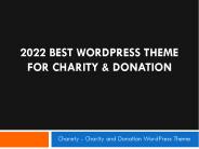 2022 Best WordPress Theme for Charity & Donation