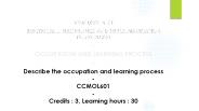 Occupation and Learning Process
