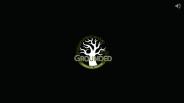 Professional Landscaping Services in Fort Collins, CO