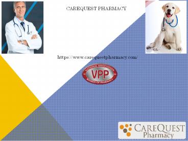 Veterinary Compounding Pharmacy