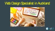 Web Design Specialist in Auckland