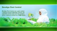 Flick Pest Control Bendigo