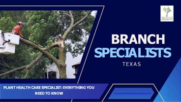 Plant Health Care Specialist: Everything You Need To Know