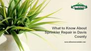 What to Know About Sprinkler Repair in Davis County