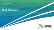 CNG flow meter
