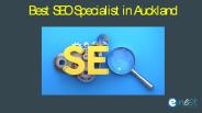 Best SEO Specialist in Auckland