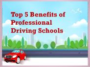top 5 benefits of professional driving school