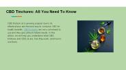 CBD Tinctures: All You Need To Know