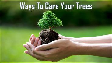 Ways To Care Your Trees