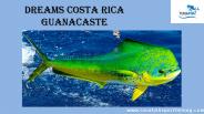 Dreams Costa Rica Guanacaste
