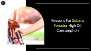Reasons For Subaru Forester High Oil Consumption
