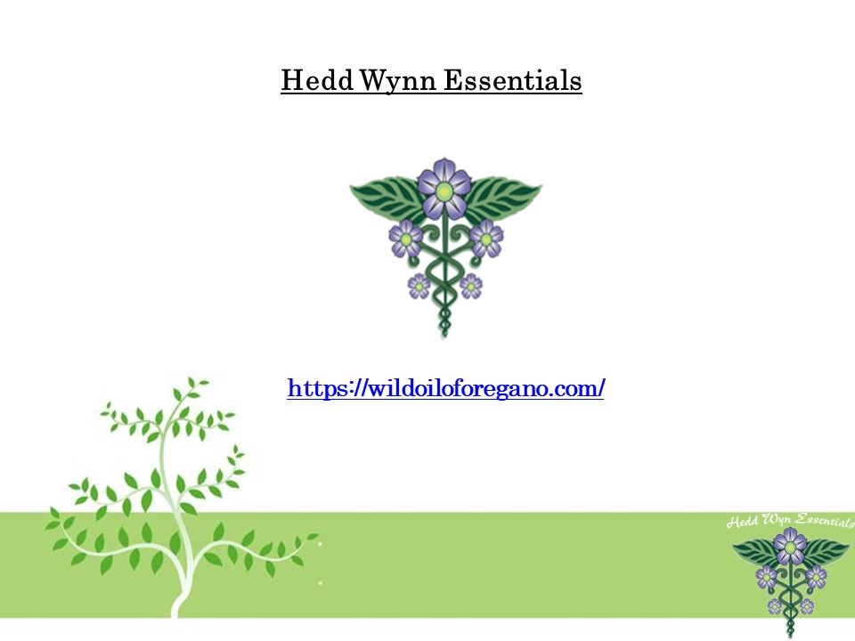 Oil of Oregano for Gut Health