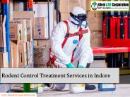 Rodent Control Treatment Services in Indore – IdealASR
