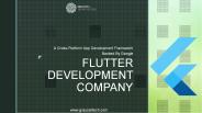 Flutter App Development