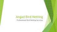 Bird Netting Services in Wagholi - Angad Bird Netting