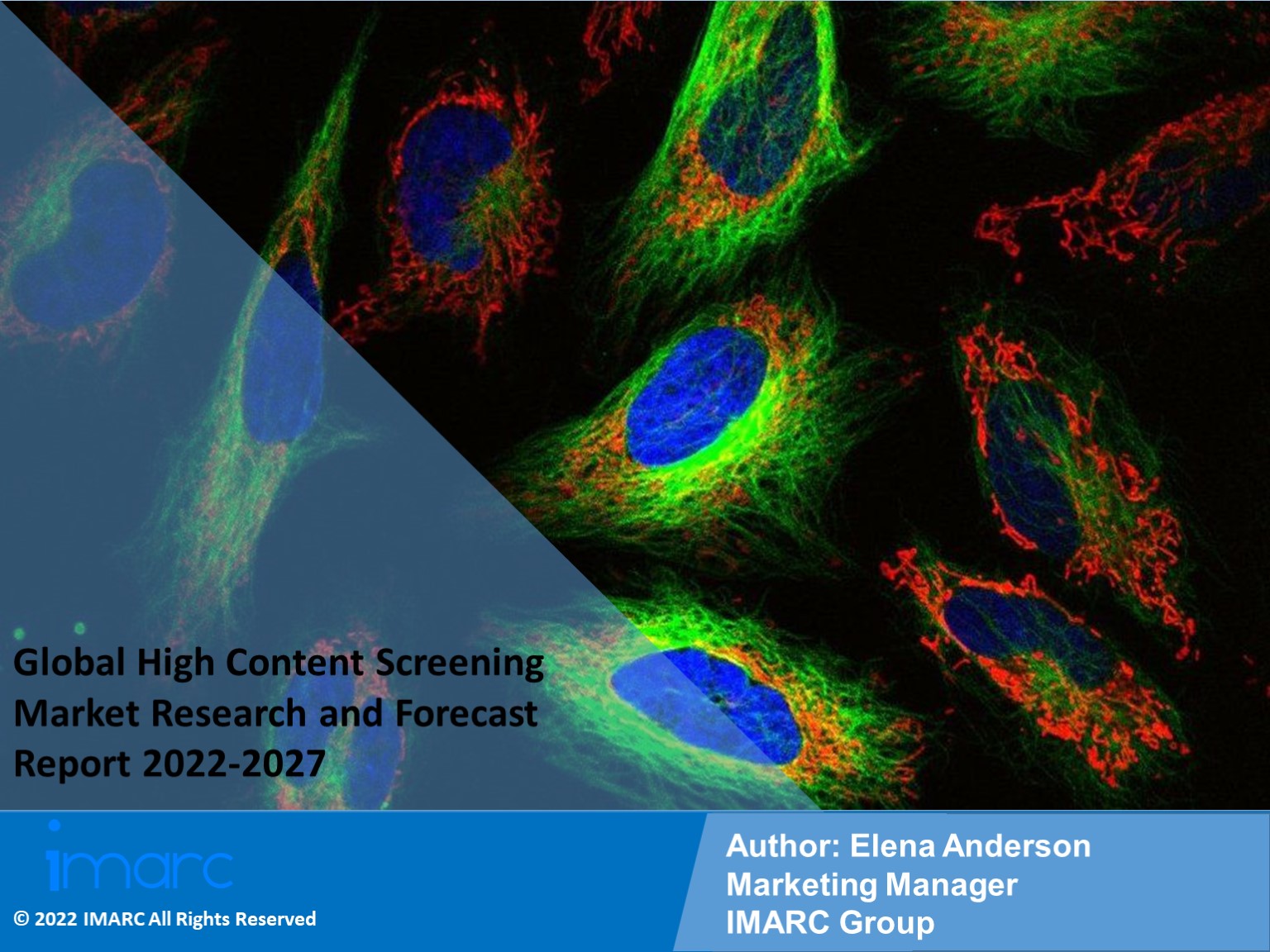 High Content Screening Market Growth, Demand and Challenges of the Key Industry Players