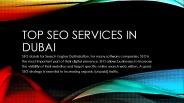 Top SEO Services in Dubai