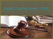 Small Claims Court | HLS