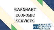 Checkout For Barnhart Economic Consulting Services